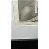 Image 3 : Man of the Sandwich Islands in a Mask 1785 Engraving Large Folio Edition 12" x 16.5" Framed & Matted