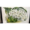 Image 8 : Orchid Chromolithograph 1885-87 Odontoglossum Crispum w/ Info 15" x 12", Framed