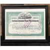 Image 1 : American-Hawaiian Steamship Company 1917 Stock Certificate, 10 Shares, 11" x 8.5", Framed