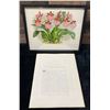 Image 1 : Orchid Chromolithograph 1885-87 Odontoglossum Uro Skinneri w/ Info 15" x 12", Framed