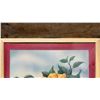 Image 4 : Yellow Hibiscus Flowers Airbrush Painting by Ted Mundorff 1940-50, 21" x 17", Framed & Matted