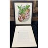 Image 1 : Orchid Chromolithograph 1885-87 Paphinia Lindeniana w/ Info 15" x 12", Framed