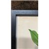Image 6 : Orchid Chromolithograph 1885-87 Paphinia Lindeniana w/ Info 15" x 12", Framed