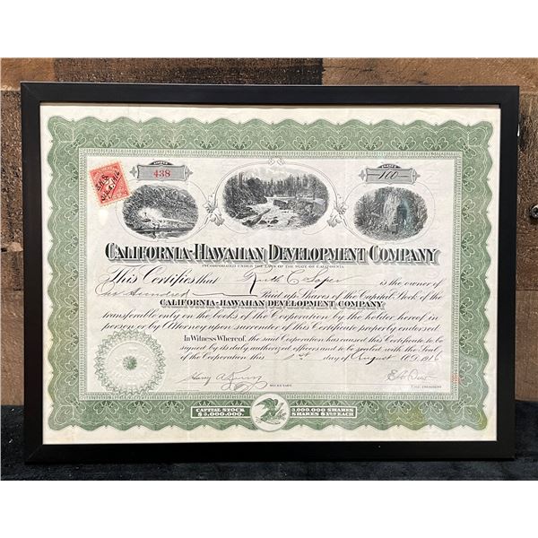 California-Hawaiian Development Company 1916 Stock Certificate 100 Shares 12" x 9", Framed
