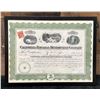 Image 1 : California-Hawaiian Development Company 1916 Stock Certificate 100 Shares 12" x 9", Framed
