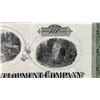 Image 6 : California-Hawaiian Development Company 1916 Stock Certificate 100 Shares 12" x 9", Framed
