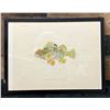 Image 1 : Fish Chromolithograph 1905 Sebastapistes Ballieui, 12" x 9.5"  Framed