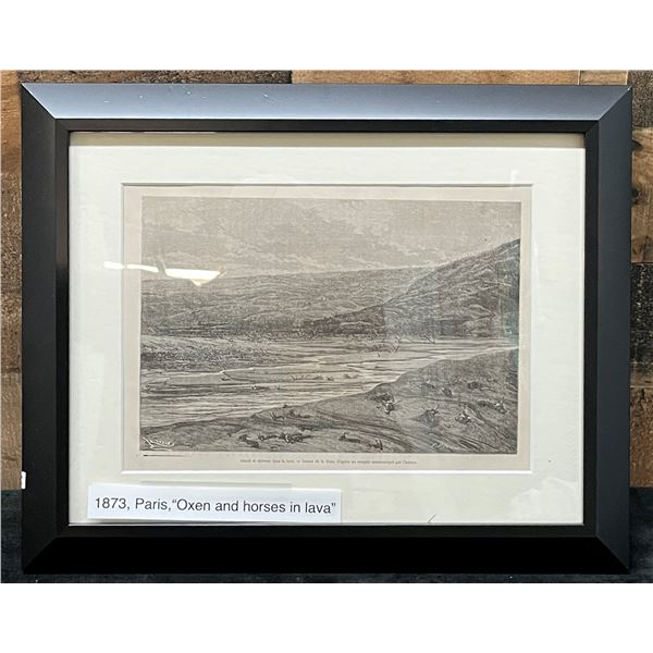 Oxen & Horses in Lava 1873 Engraving 15" x 12", Framed & Matted