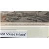 Image 3 : Oxen & Horses in Lava 1873 Engraving 15" x 12", Framed & Matted