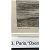 Image 5 : Oxen & Horses in Lava 1873 Engraving 15" x 12", Framed & Matted