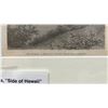 Image 11 : Qty 2 Hawaii 1873 Engravings 9" x 12", Framed & Matted