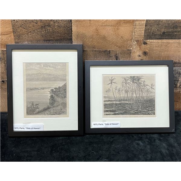 Qty 2 Hawaii 1873 Engravings 9" x 12", Framed & Matted