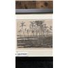 Image 2 : Qty 2 Hawaii 1873 Engravings 9" x 12", Framed & Matted