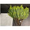 Image 6 : 12-Pack of 18" Norfolk Pine Branches/Artificial Pine Stems for DIY Faux Greenery Plant Decor - New