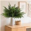 Image 5 : 12-Pack of 18" Norfolk Pine Branches/Artificial Pine Stems for DIY Faux Greenery Plant Decor - New
