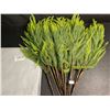 Image 6 : 12-Pack of 18" Norfolk Pine Branches/Artificial Pine Stems for DIY Faux Greenery Plant Decor - New
