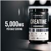 Image 2 : Jacked Factory Creatine Monohydrate Powder (425g) Unflavoured - New Sealed