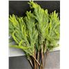 Image 7 : 12-Pack of 18" Norfolk Pine Branches/Artificial Pine Stems for DIY Faux Greenery Plant Decor - New