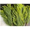 Image 7 : 12-Pack of 18" Norfolk Pine Branches/Artificial Pine Stems for DIY Faux Greenery Plant Decor - New