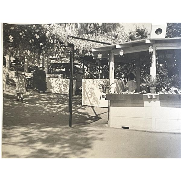Sierra Madre Wistaria Vine Gardens vintage photo