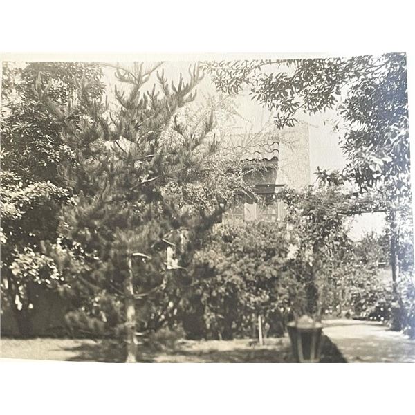 Sierra Madre Wistaria Vine Gardens vintage photo