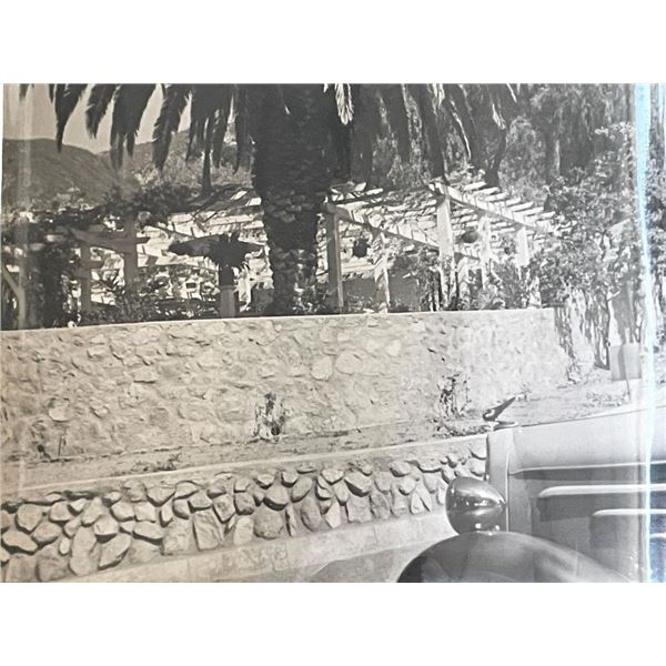 Sierra Madre Wistaria Vine Gardens vintage photo