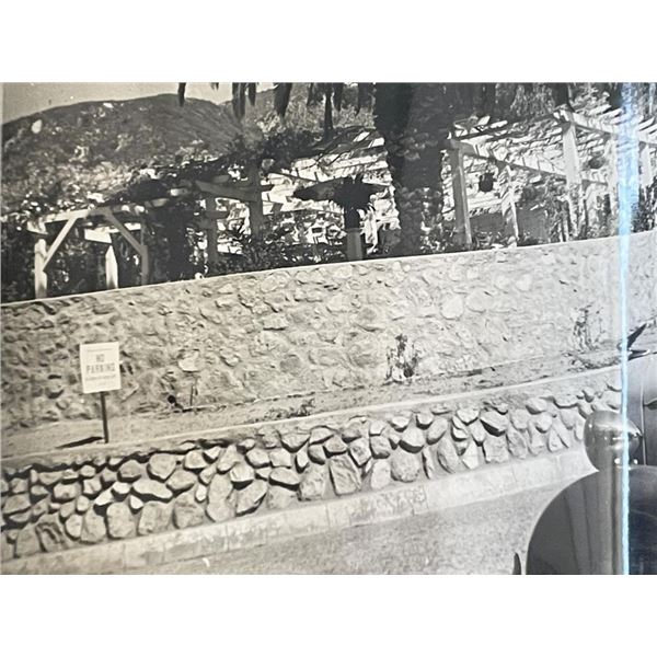 Sierra Madre Wistaria Vine Gardens vintage photo