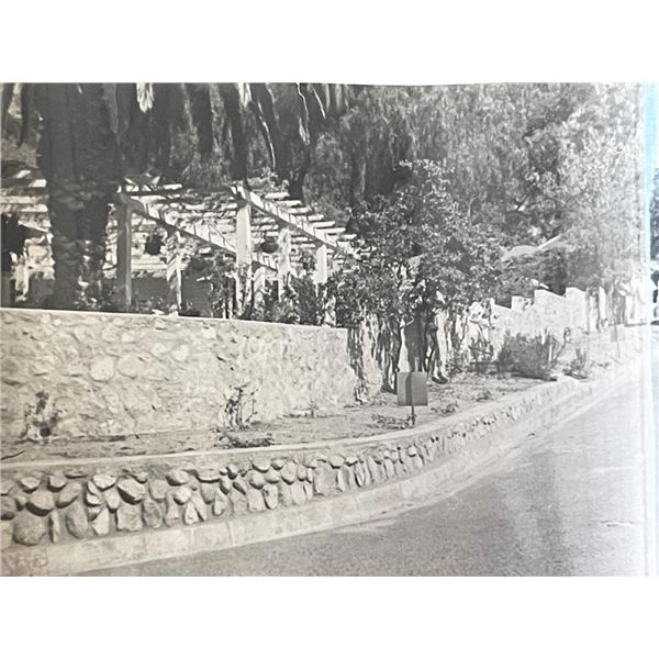 Sierra Madre Wistaria Vine Gardens vintage photo
