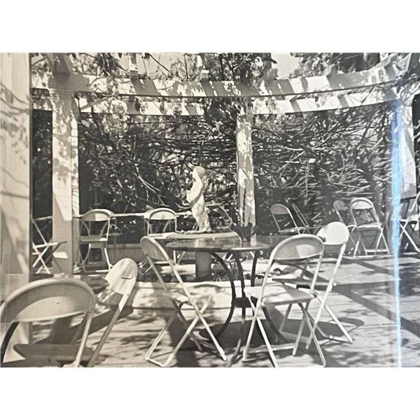 Sierra Madre Wistaria Vine Gardens vintage photo