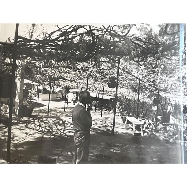 Sierra Madre Wistaria Vine Gardens vintage photo