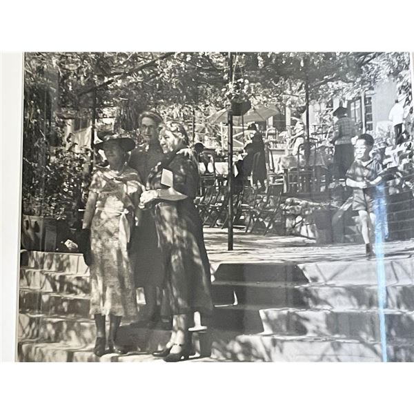 Sierra Madre Wistaria Vine Gardens vintage photo