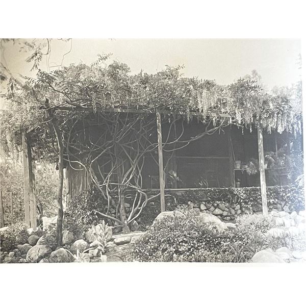 Sierra Madre Wistaria Vine Gardens vintage photo