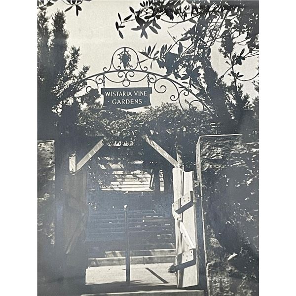 Wistaria Vine Gardens vintage photo