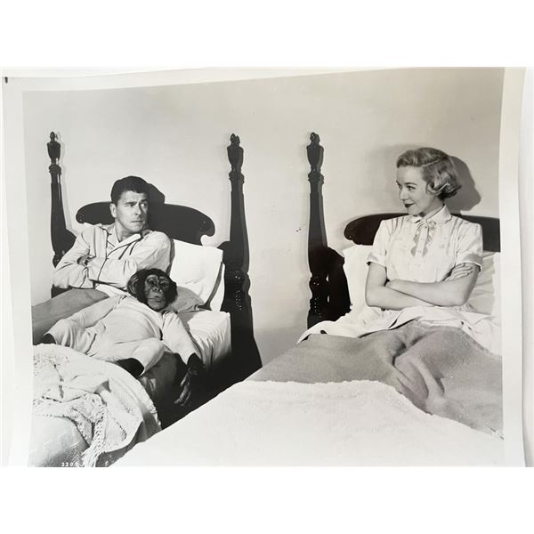 Bedtime for Bonzo Ronald Reagan and Diana Lynn vintage movie photo