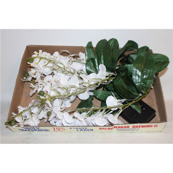 SOLAR POWERED OUTDOOR ORCHIDS