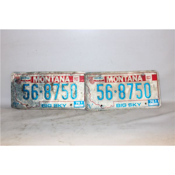 MATCHING MONTANA LICENSE PLATES
