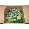Image 1 : LARGE BOX ASSORTED DECORATIVE GREENERY