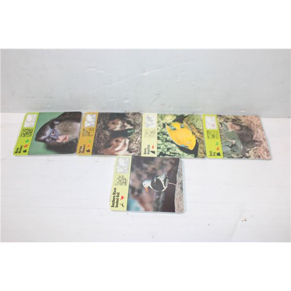 5 NEW VINTAGE ZOOLOGICAL COLLECTIBLE