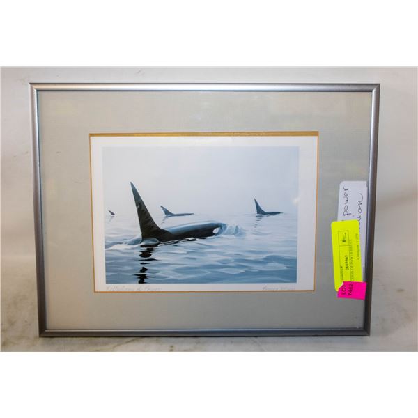 REFLECTION OF POWER BRUCE MUIR