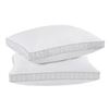 Image 1 : LIKE NEW CALVIN KLEIN 2PK QUEEN SIZED PILLOWS