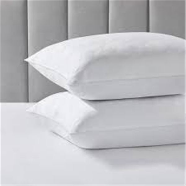 LIKE NEW EDDIE BAUER SOFT 2PK QUEEN PILLOWS