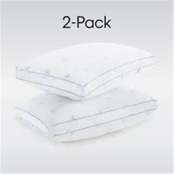 LIKE NEW CALVIN KLEIN 2PK DOWN ALT KING PILLOWS