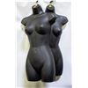 Image 1 : TWO HANGING TORSO MANNEQUINS