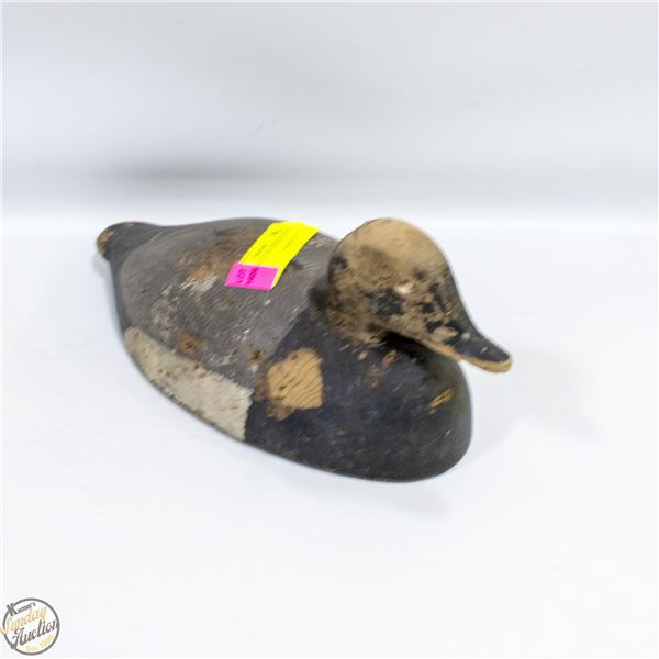 WORKING BLUE BILL DRAKE DECOY 1920'S