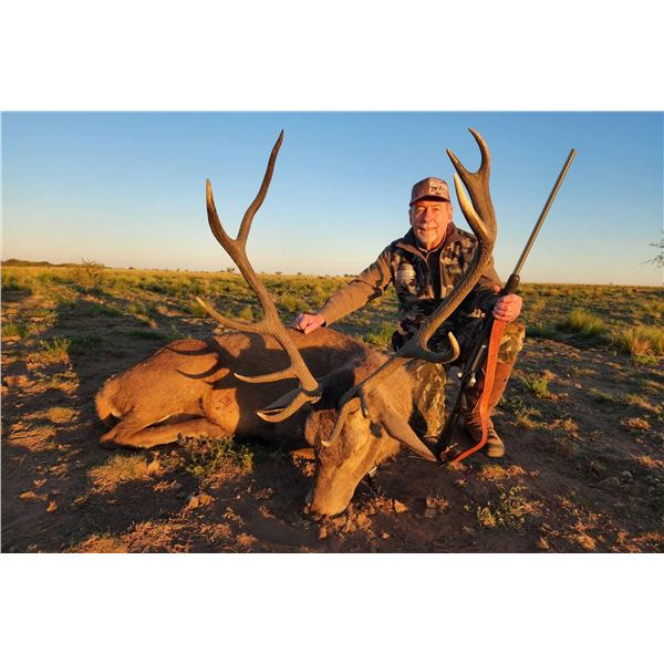 ARGENTINA RED STAG FOR 1 HUNTER- $8,000