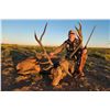 Image 1 : ARGENTINA RED STAG FOR 1 HUNTER- $8,000