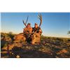 Image 3 : ARGENTINA RED STAG FOR 1 HUNTER- $8,000