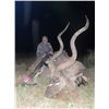 Image 1 : EASTERN CAPE SOUTH AFRICA FOR 2 PLUS 6 ANIMALS