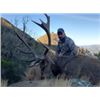 Image 1 : NEW ZEALAND HUNT
