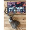 Image 1 : TAXIDERMY WALL PEDESTAL MOUNT DONATED BY KYLE SCHMIDT NORTHWOODS TAXIDERMY.